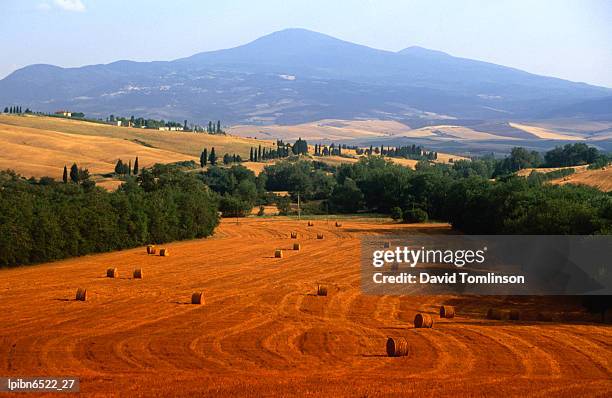 hay field with monte amiata behind, near pienza., tuscany, italy, europe - hay fotografías e imágenes de stock