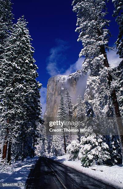 winter road and el capitan., yosemite valley, california, united states of america, north america - bomb fears ground flights out of sharm el sheikh stockfoto's en -beelden