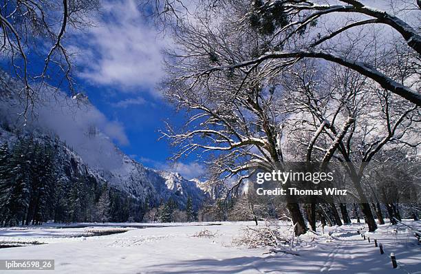 winter countryside under snow., yosemite valley, california, united states of america, north america - thomas photos et images de collection