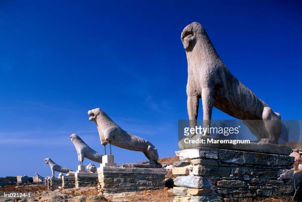 greece, cyclades. dilos island. ruines of delos, the famous terrace of lions - lion statue stock pictures, royalty-free photos & images