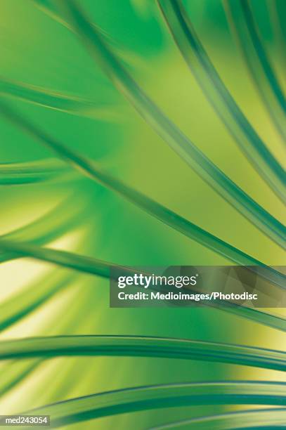 metal coil, extreme close-up - metal coil toy stockfoto's en -beelden