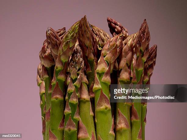 bunch of asparagus stalks - asparagus photos et images de collection