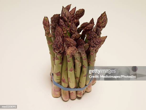 bundle of asparagus stalks - asparagus photos et images de collection