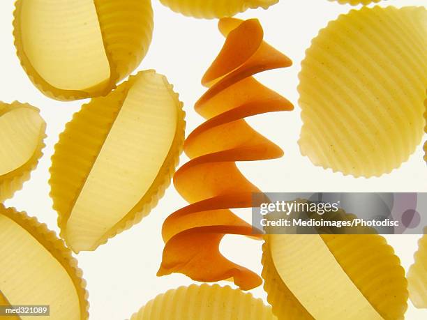 One Pasta Shell 1,105 Pasta Shell Stock Photos, High-Res Pictures, and Images - Getty ...