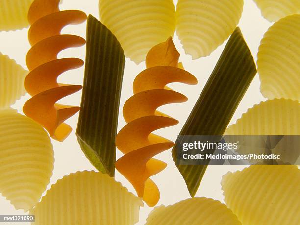 close-up of assorted pasta - conchiglie stock-fotos und bilder