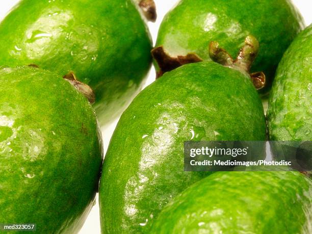 close-up of brazilian guava - guava fruit stock-fotos und bilder