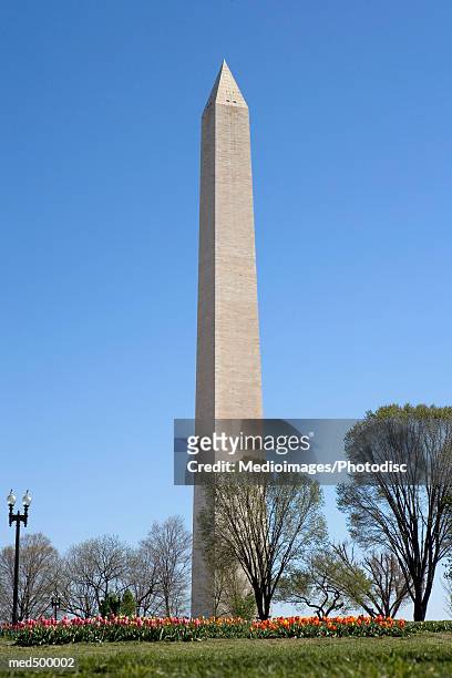 washington monument and grounds on the mall, washington dc, usa - the monument stock pictures, royalty-free photos & images