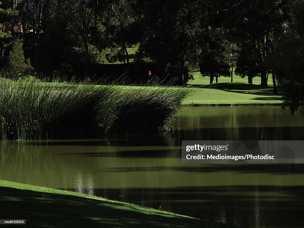 Water hazard on golf course