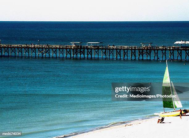 tourists relax on the beach with view of pier at naples, florida - naples beach stockfoto's en -beelden