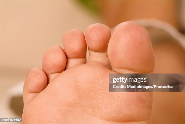 image of sole of foot, close-up, selective focus - sole photos et images de collection