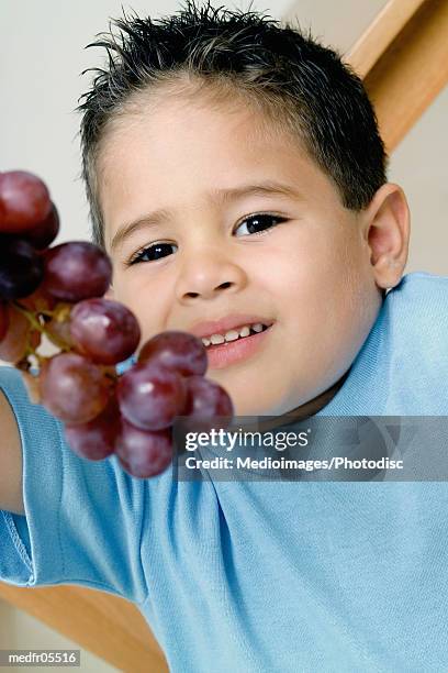 four year old boy holding bunch of grapes, close-up, part of - marvista entertainment parkside pictures with the cinema society host a screening of the year of spectacular men after party stockfoto's en -beelden