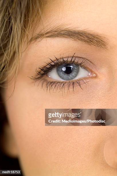 close-up part portrait of the eye of a woman - grey eyes stock pictures, royalty-free photos & images