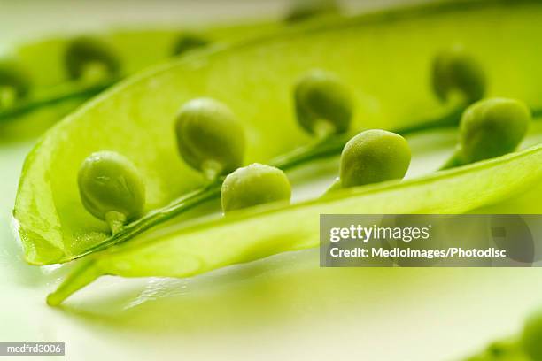 image of an pea pods on a plate, extreme close-up, selective focus - 2 peas in a pod stock pictures, royalty-free photos & images