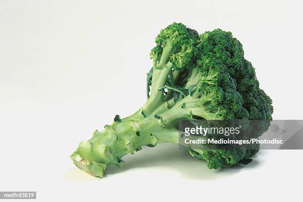broccoli on counter, close-up - close up counter ストックフォトと画像