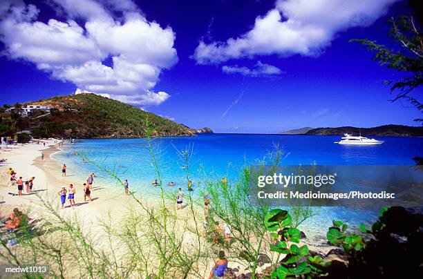 coki bay beach in st. thomas, u.s. virgin islands, carribean - thomas photos et images de collection