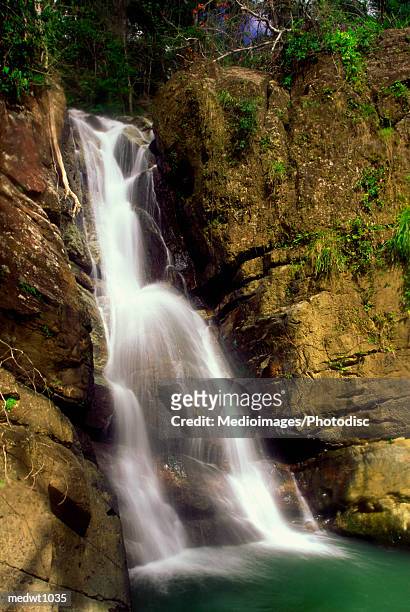 la mina waterfalls in el yunque, puerto rico - esel fotografías e imágenes de stock