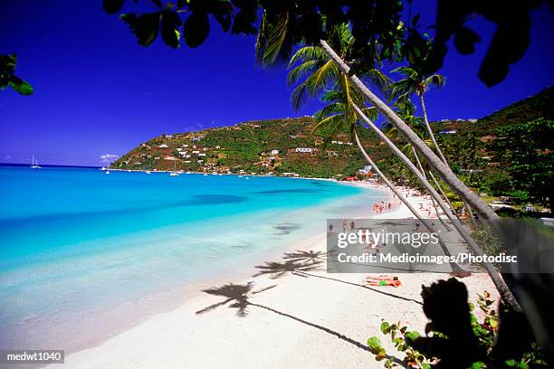 overhead view of tourists on cane garden bay in tortola, british virgin islands, caribbean - bay islands stock pictures, royalty-free photos & images