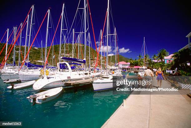 sailboats at frenchman's cay harbor, tortola, british virgin islands, caribbean - frenchman stock pictures, royalty-free photos & images