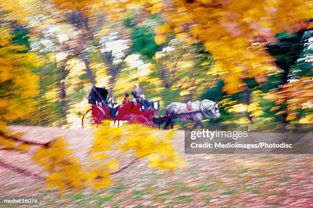 horse-drawn carriage in autumn in new york city's central park, usa - usa city stock pictures, royalty-free photos & images