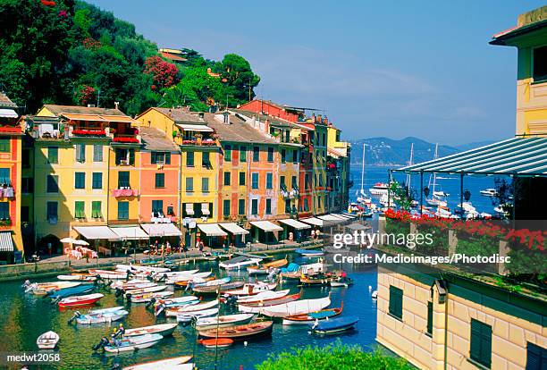 boats in the harbor at the small town of portofino, italy - town imagens e fotografias de stock