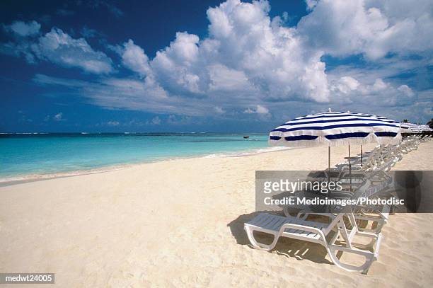 many umbrellas and white lounge chairs in a line on shoal bay beach on anguilla, caribbean - intersected stock pictures, royalty-free photos & images