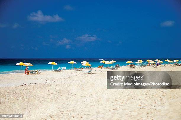 many yellow and white umbrellas and lounge chairs in a line on elbow beach on bermuda, caribbean - atlantic islands stock pictures, royalty-free photos & images