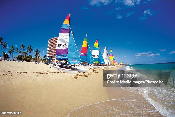 six catamarans on ft. lauderdale beach, florida, usa - fort lauderdale florida ストックフォトと画像