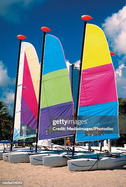 three catamarans on ft. lauderdale beach, florida, usa - national recreation area stock-fotos und bilder