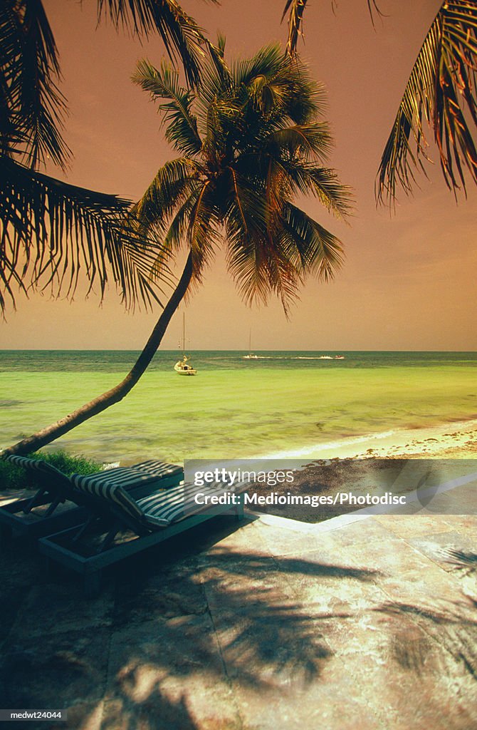 Palm trees, shadows and sailboat at sunset on George Smathers Beach, Key West, Florida, USA