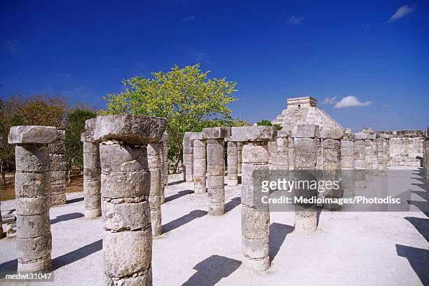 group of the thousand columns at the temple of warriors, with view of pyramid of kukulkan, chichen-itza, mexico - temple of warriors foto e immagini stock
