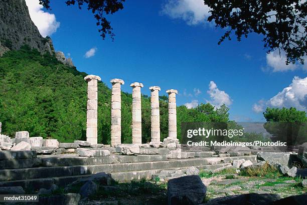 priene-miletos, turkey - priene 個照片及圖片檔