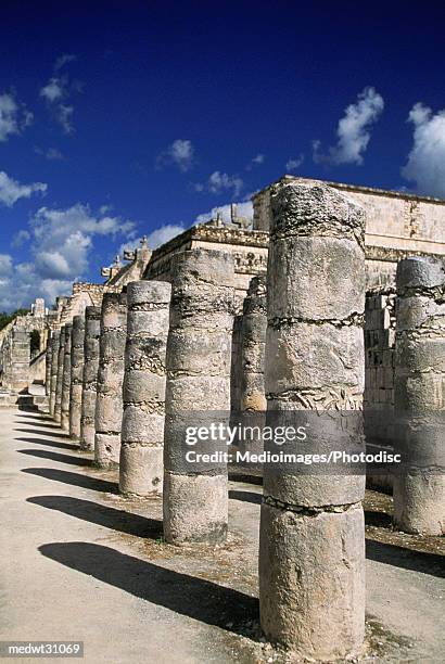 group of the thousand columns at the temple of the warriors, chichen-itza, yucatan, mexico - temple of warriors foto e immagini stock