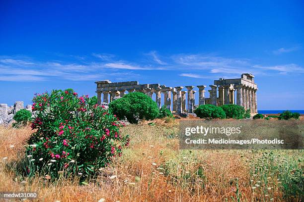 ruins of temple e in selinunte, sicily, italy - central greece stock pictures, royalty-free photos & images