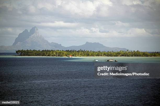 french polynesia, tahiti, le taha'a private island, bora bora, view of a beach from sea - le ストックフォトと画像