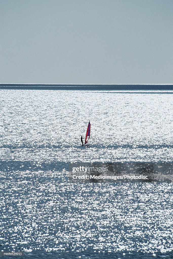 Caribbean, Jamaica, person windsurfing on ocean