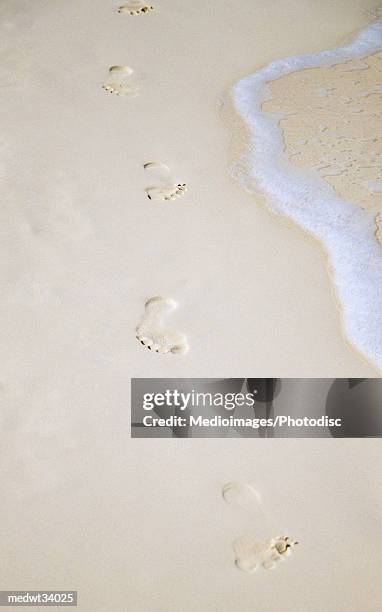 caribbean, turks and caicos islands, providenciales, grace bay beach, footprints in sand on a beach - turks and caicos islands stock-fotos und bilder