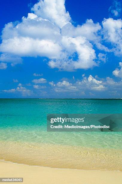 caribbean, st. martin, cupecoy beach, tropical beach and surf - isole windward foto e immagini stock