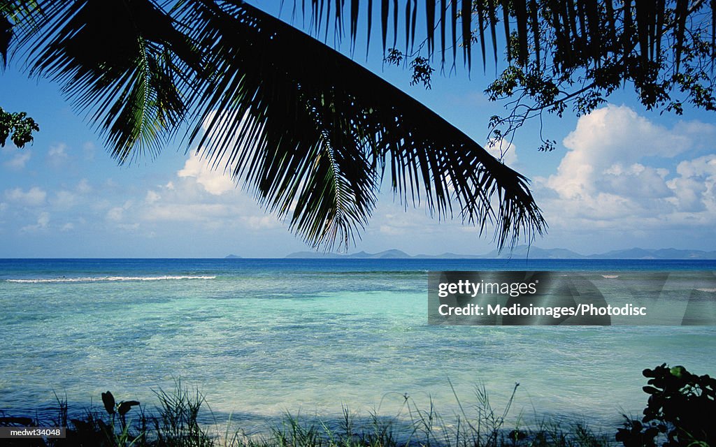 Caribbean, Grenadines, Britannia Bay, Mustique, View of a beach