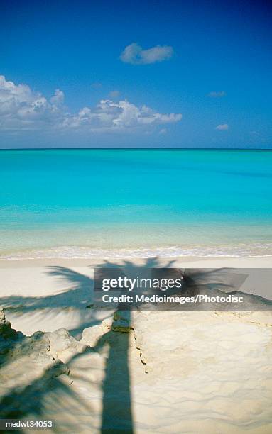 caribbean, turks and caicos islands, providenciales, grace bay beach, shadow of a palm tree on sand - turks and caicos islands stock-fotos und bilder