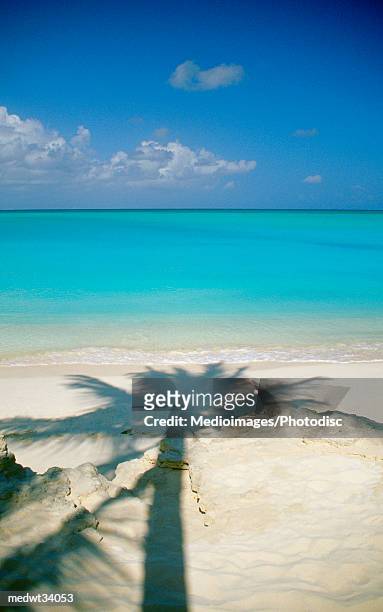 caribbean, turks and caicos islands, providenciales, grace bay beach, shadow of a palm tree on sand - bay islands stock pictures, royalty-free photos & images