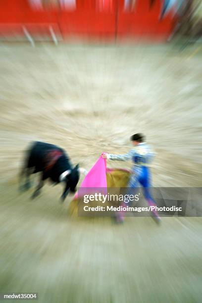 mexico, acapulco, bullfighter fighting with a bull - bull stock-fotos und bilder