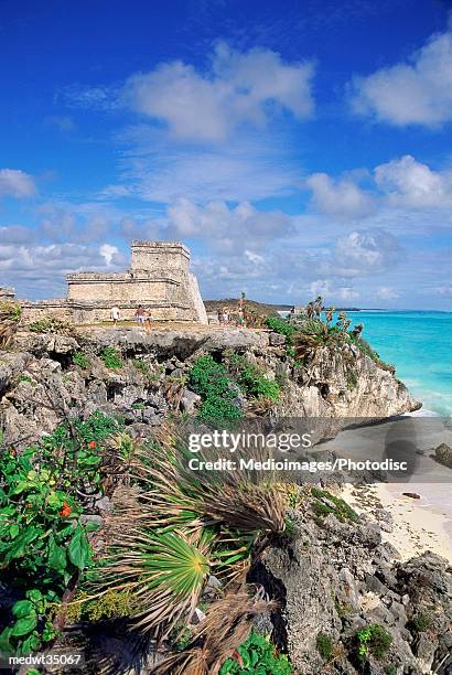 mexico, yucatan, peninsula, ruins of tulum, mayan - travel16 スト��ックフォトと画像