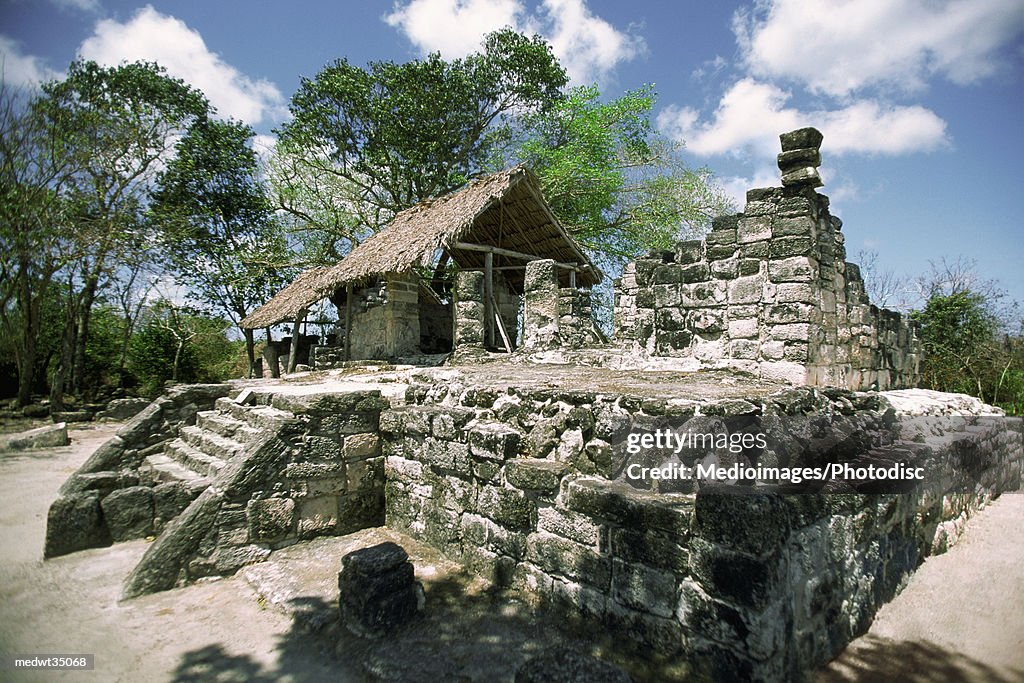 Mexico, Cozumel, San Gervasio, Mayan ruins