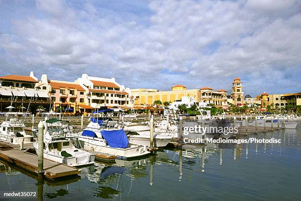mexico, baja california, cabo san lucas, boats moored on dock - cabo stock pictures, royalty-free photos & images