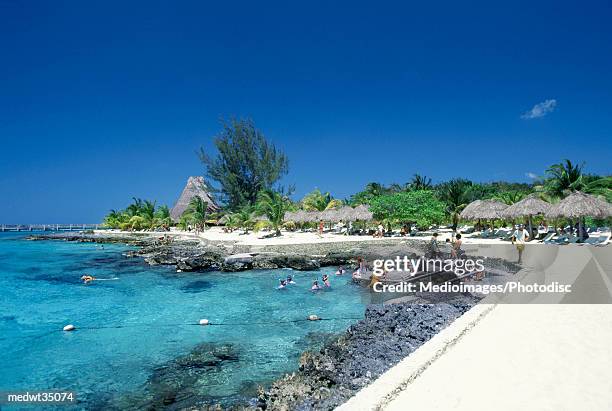 mexico, cozumel, chankanaab national park, view of a rocky beach - cozumel mexico stock pictures, royalty-free photos & images