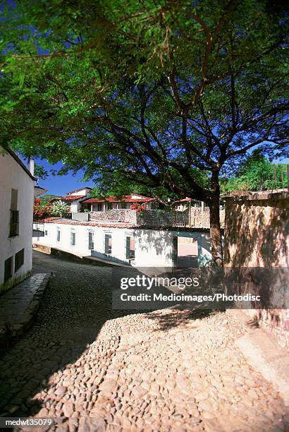 mexico, mazatlan, sierra madre, copala village, view of the rural road - madre stock-fotos und bilder