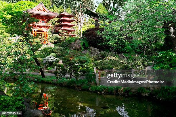 usa, california, san francisco, golden gate park, japanese tea garden, buddhist temple - garden feature stock pictures, royalty-free photos & images