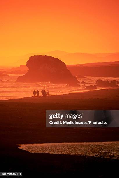 usa, california, silhouette of a beach - travel16 ストックフォトと画像