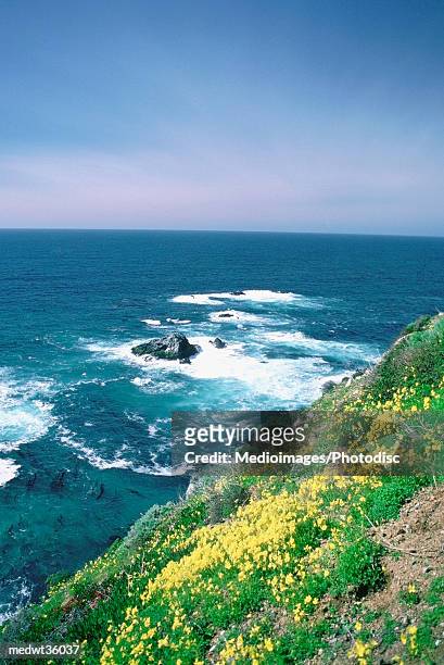usa, california, san simeon, high angle view of a beach - north pacific ocean stockfoto's en -beelden