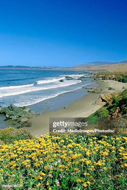 usa, california, san simeon, high angle view of a beach - noordelijke grote oceaan stockfoto's en -beelden